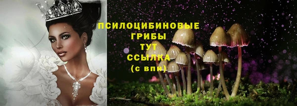 ALPHA PVP Вязьма