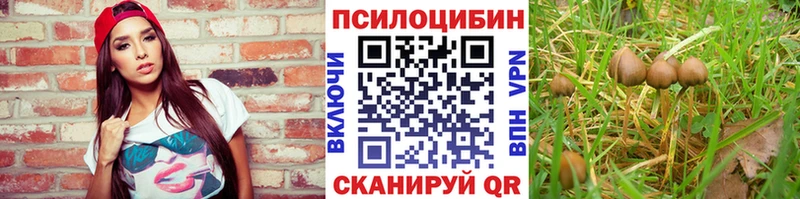 Галлюциногенные грибы MAGIC MUSHROOMS Сергач